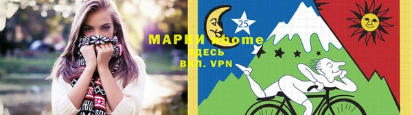 прущие грибы Лабытнанги