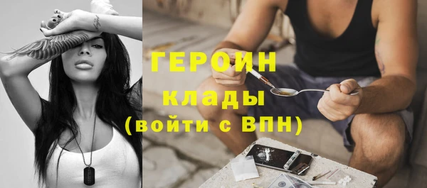 прущие грибы Лабытнанги
