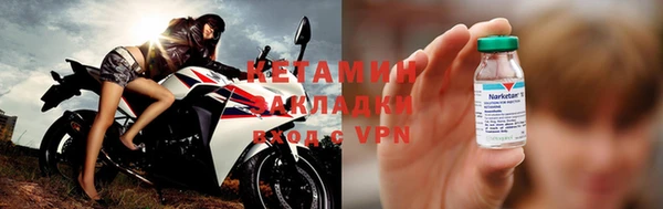 прущие грибы Лабытнанги