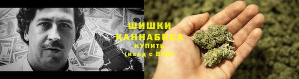 прущие грибы Лабытнанги