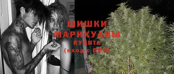 первитин Ладушкин
