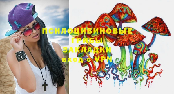 прущие грибы Лабытнанги