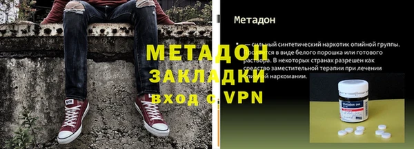 прущие грибы Лабытнанги
