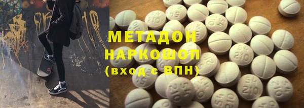 прущие грибы Лабытнанги